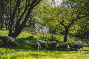 Somerset Shepherds Huts